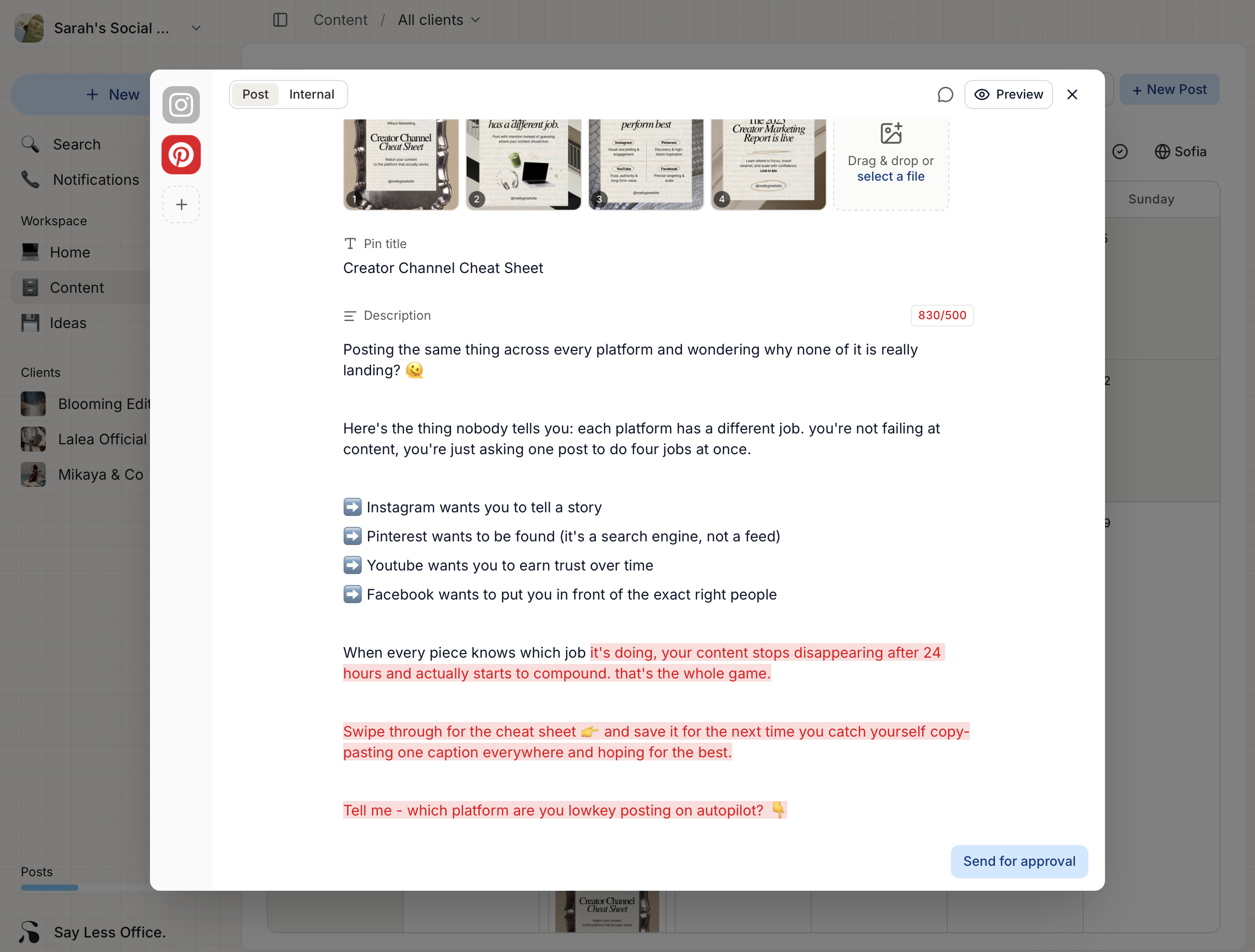 The caption row with the character counter in the top-right showing usage against the platform's limit, and overflow characters highlighted in red